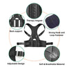 BackFlex™ - Back Posture Correction Belt